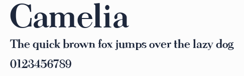 Camelia預覽圖