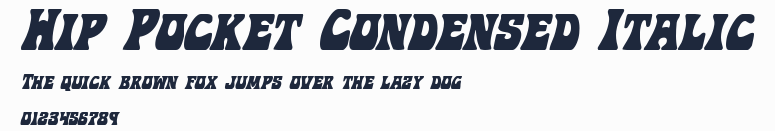 Hip Pocket Condensed Italic預覽圖