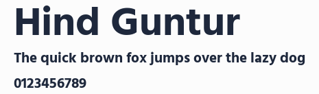Hind Guntur預覽圖