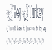 HeyTurkey預覽圖