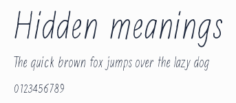 Hidden meanings預覽圖