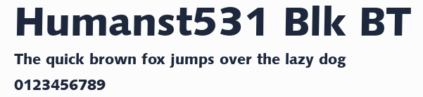 Humanst531 Blk BT預覽圖