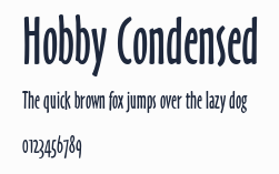 Hobby Condensed預覽圖