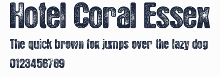 Hotel Coral Essex預覽圖