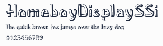 HomeboyDisplaySSi預覽圖