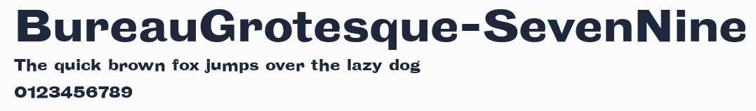 BureauGrotesque-SevenNine預覽圖