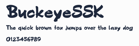BuckeyeSSK預覽圖