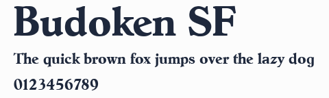 Budoken SF預覽圖