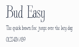 Bud Easy預覽圖