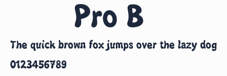小塚ゴシック Pro B預覽圖