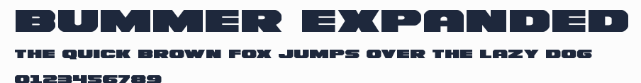 Bummer Expanded預覽圖