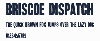 Briscoe Dispatch預覽圖