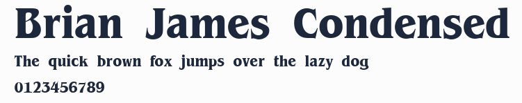 Brian James Condensed預覽圖