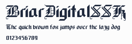 BriarDigitalSSK預覽圖