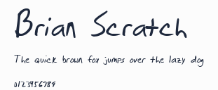 Brian Scratch預覽圖