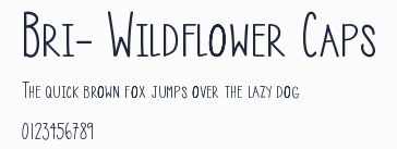 Bri- Wildflower Caps預覽圖
