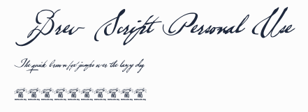 Brev Script Personal Use預覽圖