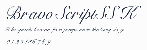 BravoScriptSSK預覽圖