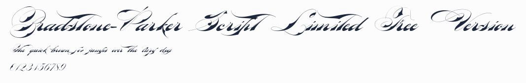 Bradstone-Parker Script Limited Free Version預覽圖