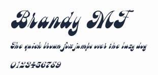 Brandy MF預覽圖