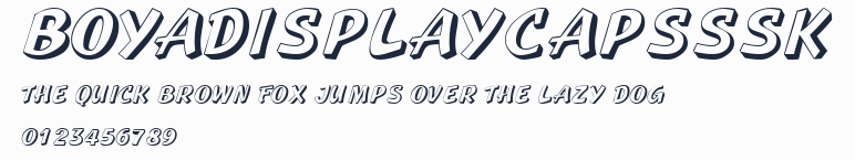 BoyaDisplayCapsSSK預覽圖