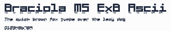 Braciola MS ExB Ascii預覽圖