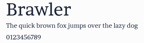 Brawler預覽圖