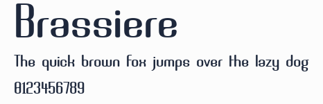 Brassiere預覽圖
