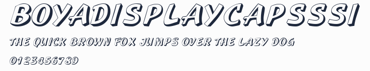 BoyaDisplayCapsSSi預覽圖