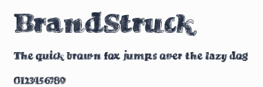BrandStruck預覽圖
