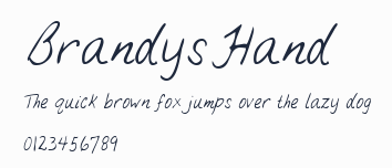 BrandysHand預覽圖