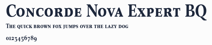 Concorde Nova Expert BQ預覽圖