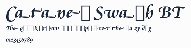 Cataneo Swash BT預覽圖