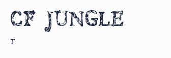 CF JUNGLE預覽圖