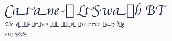 Cataneo LtSwash BT預覽圖