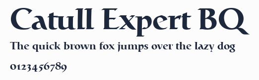 Catull Expert BQ預覽圖