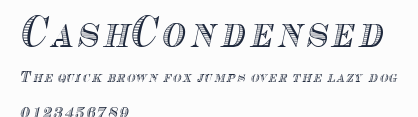 CashCondensed預覽圖