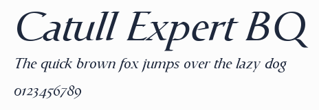 Catull Expert BQ預覽圖