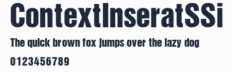 ContextInseratSSi預覽圖