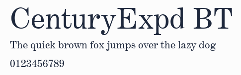 CenturyExpd BT預覽圖