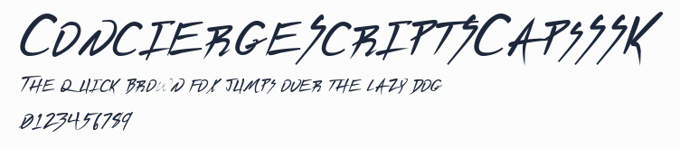 ConciergeScriptSCapsSSK預覽圖