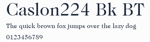 Caslon224 Bk BT預覽圖