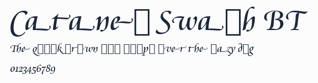 Cataneo Swash BT預覽圖