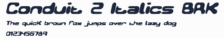 Conduit 2 Italics BRK預覽圖