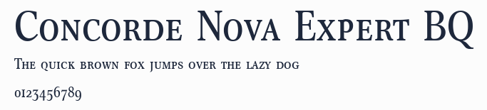 Concorde Nova Expert BQ預覽圖