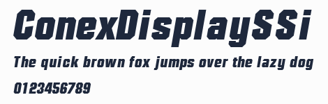 ConexDisplaySSi預覽圖