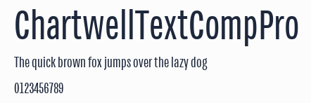 ChartwellTextCompPro預覽圖