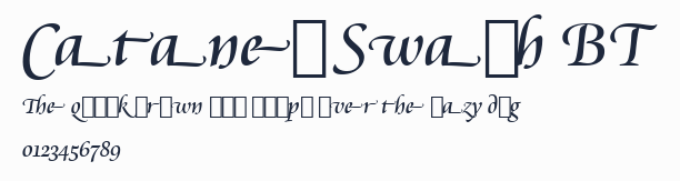 Cataneo Swash BT預覽圖