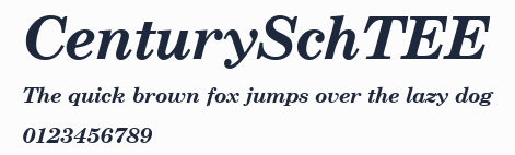 CenturySchTEE預覽圖