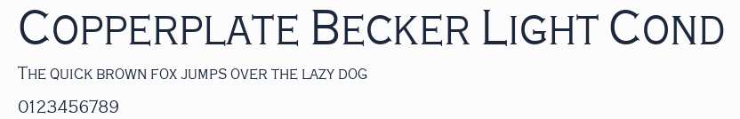 Copperplate Becker Light Cond預覽圖